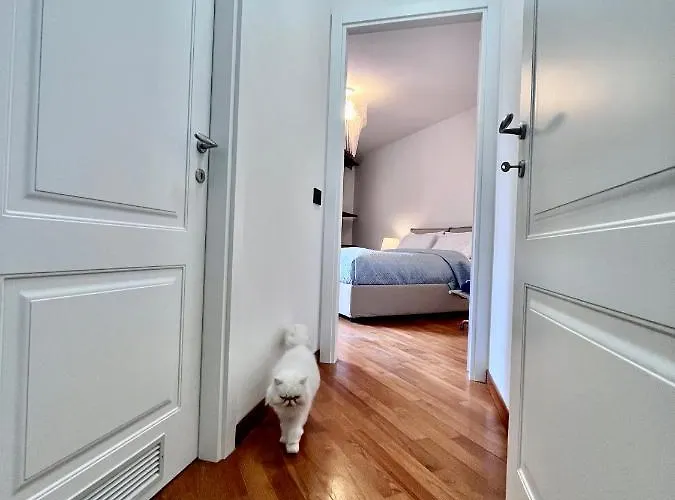 Ad Mare - Frontemare, 1 Minuto Dalla