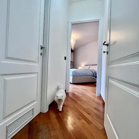 Ad Mare - Frontemare, 1 Minuto Dalla